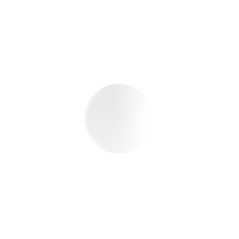Air Valve Ball